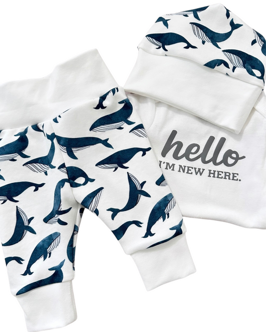 Whale outfit